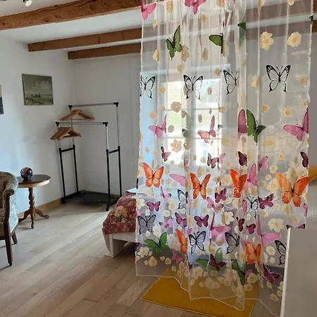 Papillon Avec Acces Terasse * La Neuveville