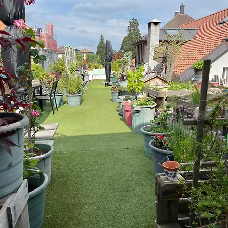 Papillon Avec Acces Terasse * لا نوفيل