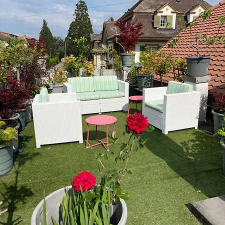 Papillon Avec Acces Terasse