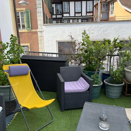 Papillon Avec Acces Terasse La Neuveville