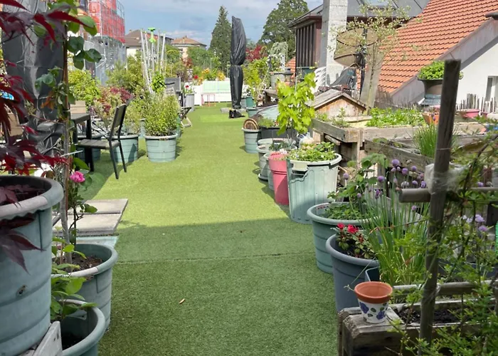 Papillon Avec Acces Terasse * La Neuveville