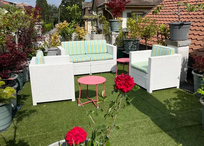 Papillon Avec Acces Terasse