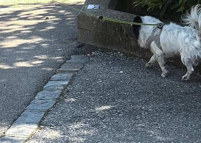 Privat bolig Papillon Avec Acces Terasse